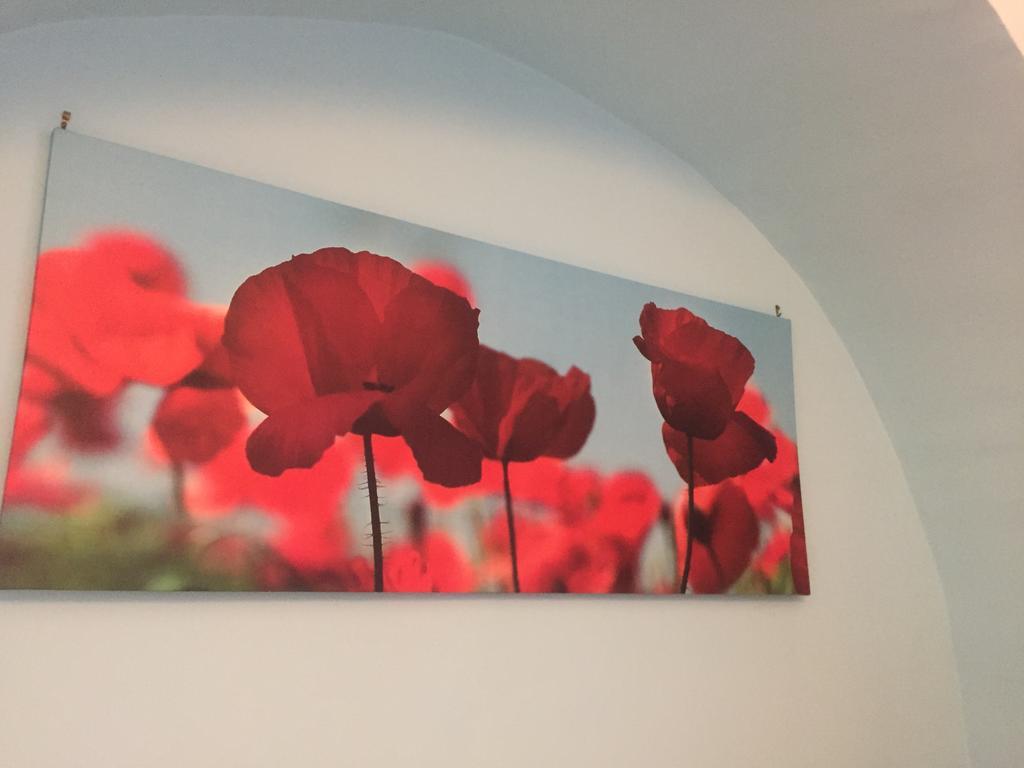 산테라모 인 콜레 La Rosa Blu 2 B&B 외부 사진